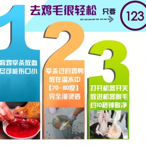 鸽子鹌鹑脱毛机商用全自动拔毛机小鸡小鸭去毛机家用不锈钢退毛机TA-30