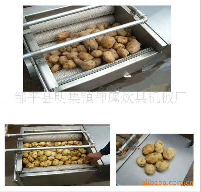 供应 神鹰商用洗菜机（CX100）大型食堂洗菜机 莲藕清洗脱皮机