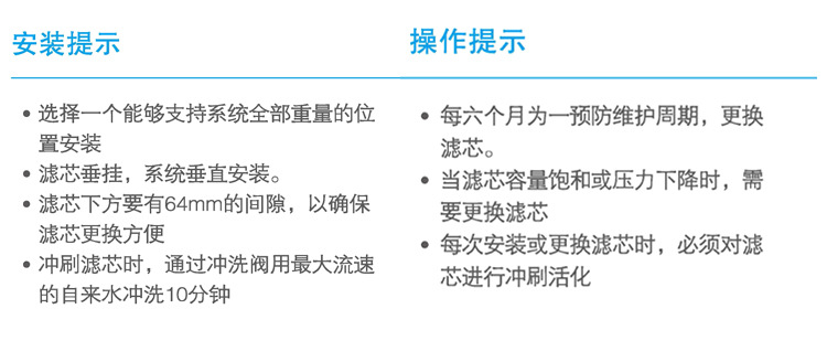 美国进口爱惠浦（Everpure）BH2 双联净水器 过滤系统 商用