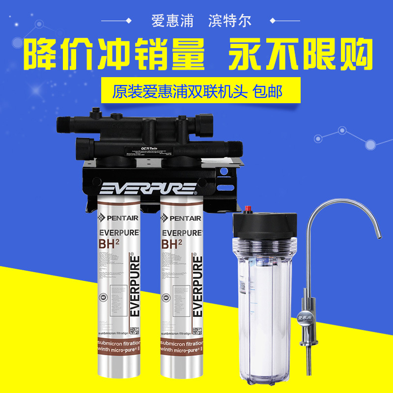 美国进口爱惠浦（Everpure）BH2 双联净水器 过滤系统 商用