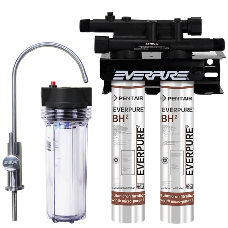 美国进口爱惠浦（Everpure）BH2 双联净水器 过滤系统 商用