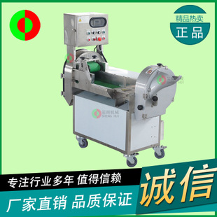 笙辉厂家直销多功能叶菜瓜果洗菜机商用臭氧杀毒气泡清洗洗菜机