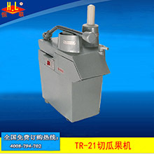 恒联QC200多功能商用切菜机 商用大型切瓜果机Vegetable cutter