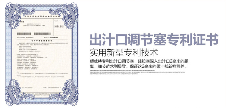SAVTM/狮威特商用榨汁机 家用大口径搅拌原汁机 慢速多功能果汁机