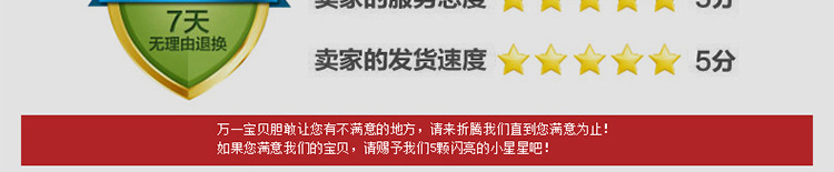 奇博士烤箱商用燃气双层大容量全自动烤箱二层四盘多功能披萨烤炉