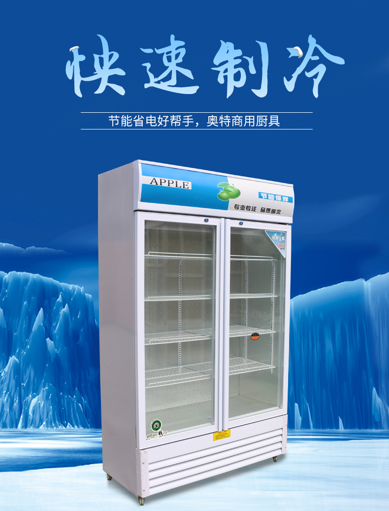 双门冷藏保鲜柜立式超市冷饮饮料柜 商用展示柜冷柜冰柜