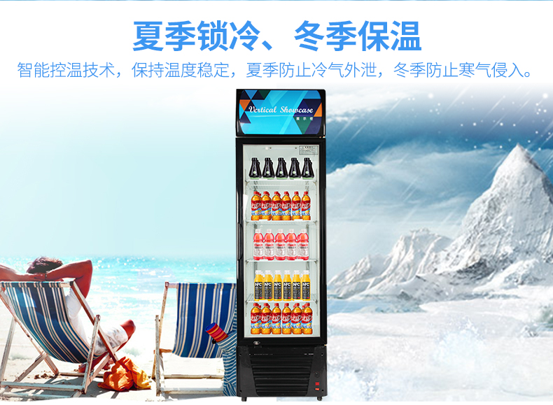 德玛仕商用 展示柜立式冰柜商用 士多小卖部冷藏柜 双门-760L