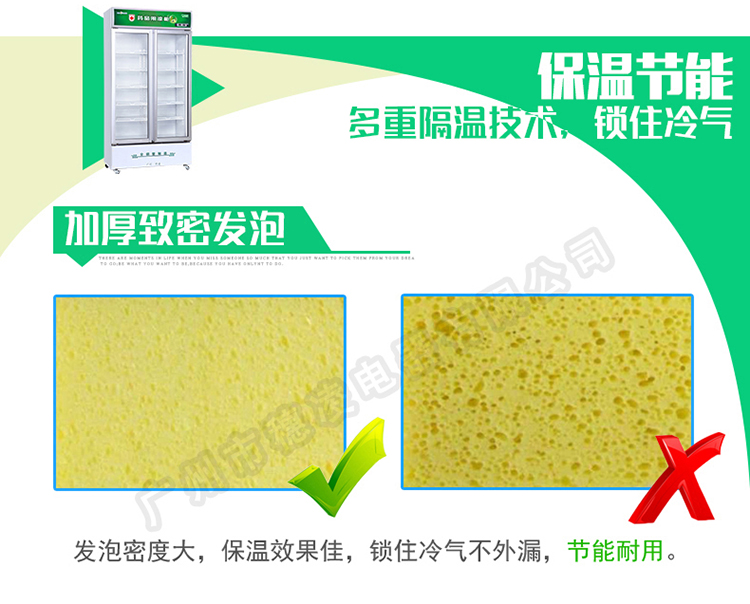 穗凌SL-900双门立式阴凉冷柜单温冷藏冰柜 商用展示柜 冷藏柜