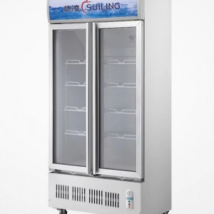 穗凌LG4-488M2F商用冰柜 立式展示柜 双门风冷 冷藏保鲜柜