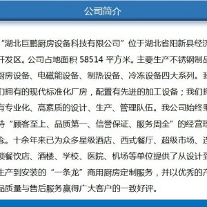 商用不锈钢双门高身冷冻柜 卧式厨房冷柜 可批发订制 厂家直销