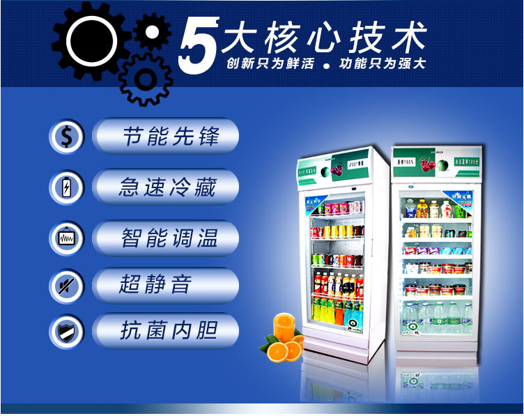 联众展示冷柜立式商用冷餐冰柜啤酒柜饮品水果保鲜柜饮料柜