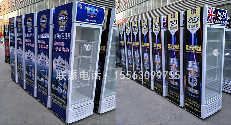 商用单双三门啤酒柜单温饮品冷藏展示柜水果茶叶饮料保鲜柜冰箱