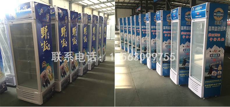 商用单双三门啤酒柜单温饮品冷藏展示柜水果茶叶饮料保鲜柜冰箱