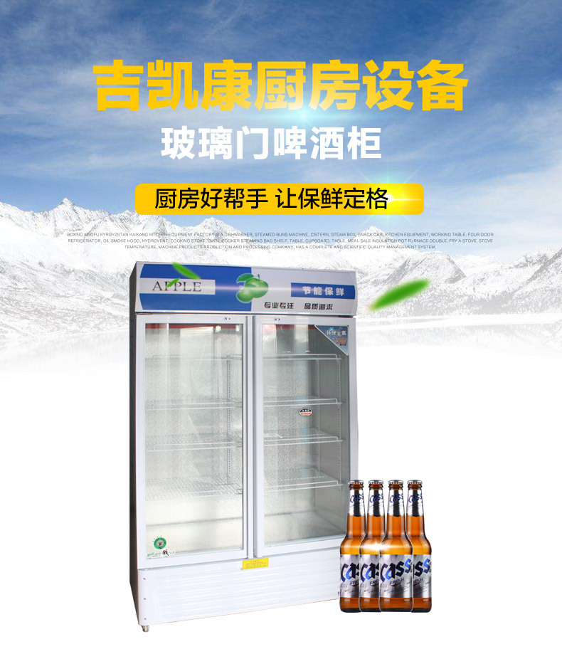 厂家现货供应单门双门啤酒展示柜 冷藏立式冰柜 冷饮保鲜柜