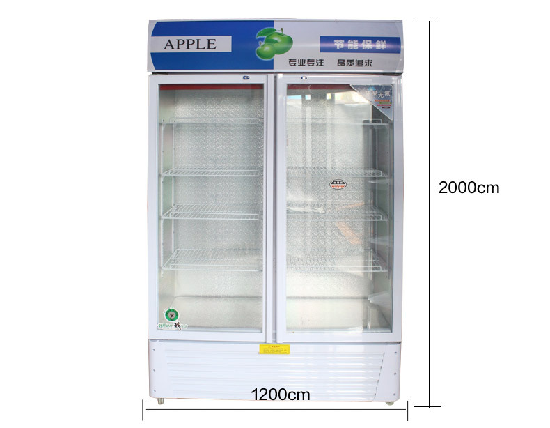 厂家现货供应单门双门啤酒展示柜 冷藏立式冰柜 冷饮保鲜柜