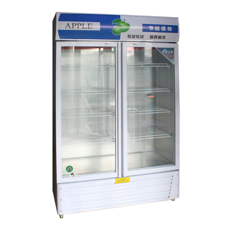 厂家现货供应单门双门啤酒展示柜 冷藏立式冰柜 冷饮保鲜柜