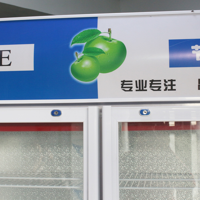 厂家现货供应单门双门啤酒展示柜 冷藏立式冰柜 冷饮保鲜柜