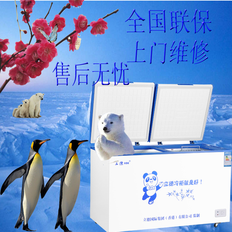 盛宝BD/BC-618卧式单温冷冻冷藏冰柜超市雪糕商用展示柜家用冷柜