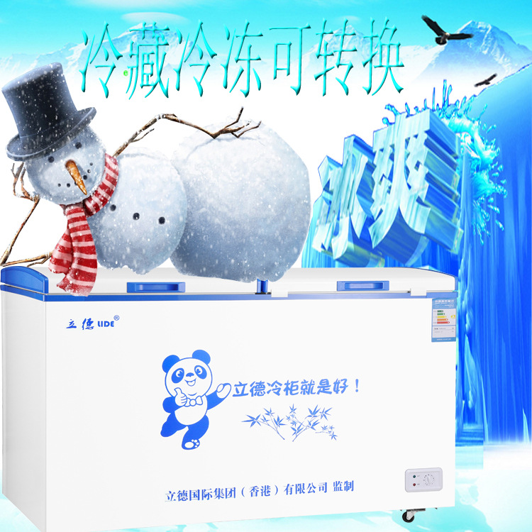 盛宝BD/BC-618卧式单温冷冻冷藏冰柜超市雪糕商用展示柜家用冷柜