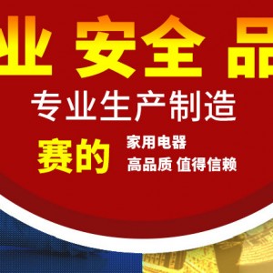 赛的商用电磁炉汤炒组合炉 节能双头汤炉炒炉 燃气炒炉生产供应