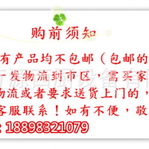 立式燃气四头煲仔炉连气焗炉 商用 GH-987A四眼炉多功能 质量保证