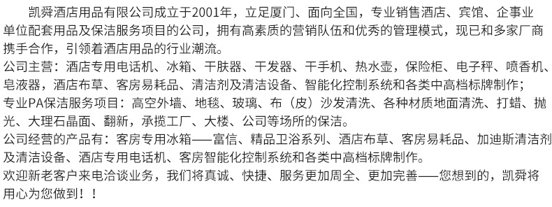 酒店家用便携式蒸汽家用迷你熨斗