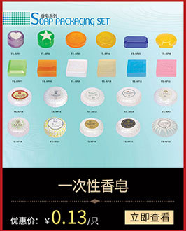 酒店家用便携式蒸汽家用迷你熨斗