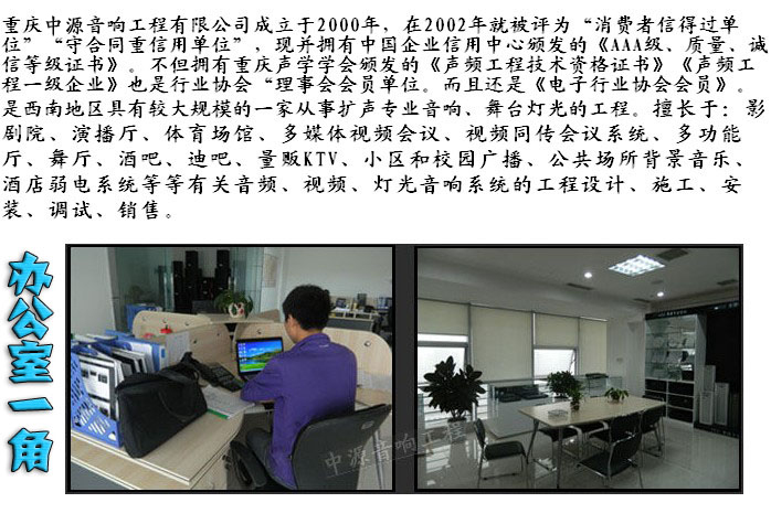 玛仕MASHI音响C-M12酒店设备套装会议专业音箱酒吧单12寸音响全套